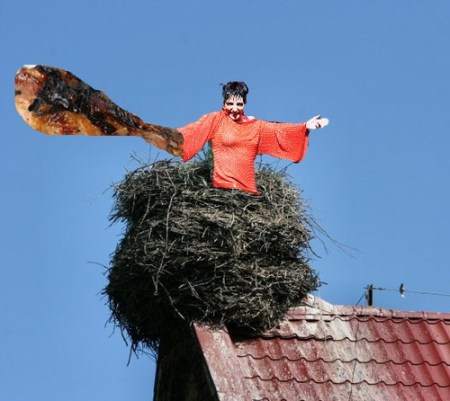 tumblr_kzhrljtd591qbsj0ro1_500